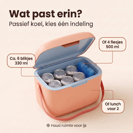 Cheqo® Koelbox - Kleine Koelbox 6 Liter - Koeltas - Draagbare Koelbox met Schouderband en Verstelbare Draagriem - Koelbox zonder Stroom - voor Picknick - Strand - Camping - Auto en Festival - Isolerende Lunchbox Koeler - Roze Koelboxje - Benefit Map