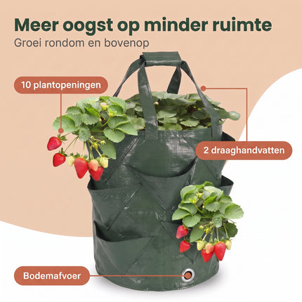 Cheqo® Kweekzakken Set van 3 - Plantenzakken - Aardbeienzak - Growbags - Groeizak - Plantzak - Hangende Plantenzak - Moestuinzak - voor Aardbeien - Tomaten - Kruiden en Groenten - voor Balkon en Terras - Verticaal Tuinieren - met Handvatten - Benefit Map (fix v3)