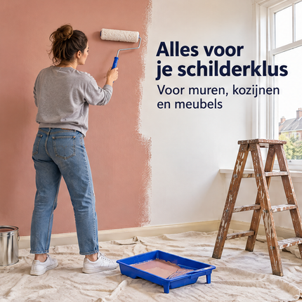 infographic opus55 infographic 1 - Cheqo® Schilderset 12-Delig