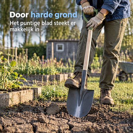infographic opus55 infographic 1 - Cheqo® Schop Puntschop