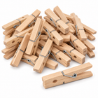 infographic opus55 hoofdafbeelding - Cheqo® Houten Wasknijpers Set van 24