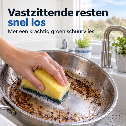 infographic opus55 infographic 1 - Cheqo® Schuursponzen Set van 5