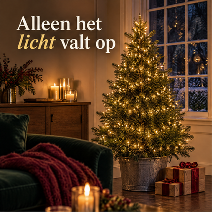infographic opus55 infographic 1 - Cheqo® Kerstboomverlichting 500 LED