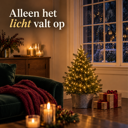 infographic opus55 infographic 1 - Cheqo® Kerstboomverlichting 350 LED