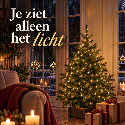 infographic opus55 infographic 1 - Cheqo® Kerstboomverlichting 220 LED