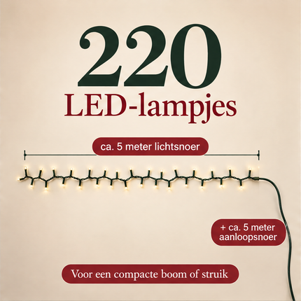 infographic opus55 infographic 2 - Cheqo® Kerstboomverlichting 220 LED