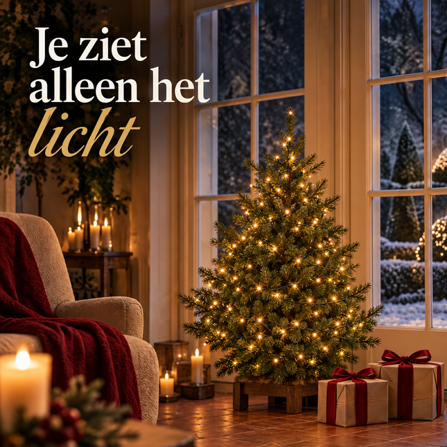 infographic opus55 infographic 1 - Cheqo® Kerstboomverlichting 350 LED