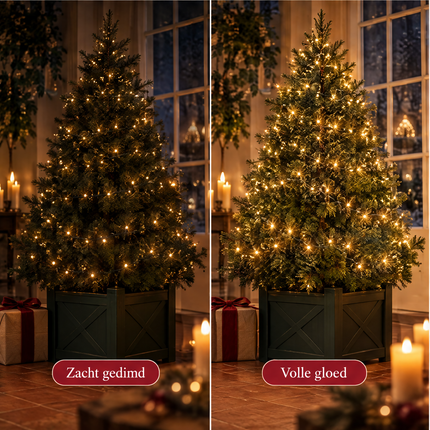 infographic opus55 infographic 4 - Cheqo® Kerstboomverlichting 220 LED