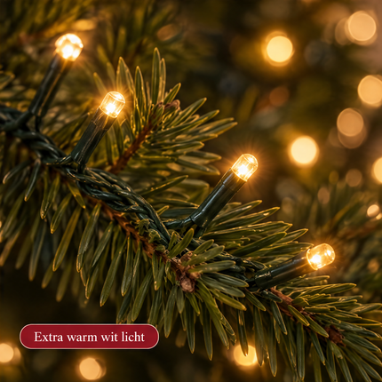 infographic opus55 infographic 6 - Cheqo® Kerstboomverlichting 220 LED