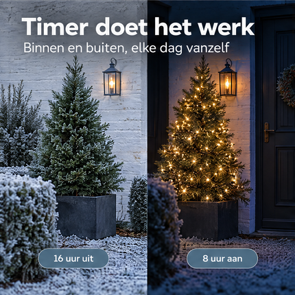 infographic opus55 infographic 5 - Cheqo® Kerstverlichting Twinkle 648 LED