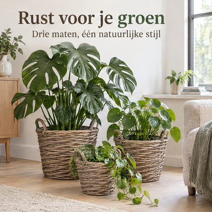 infographic opus55 infographic 1 - Cheqo® Plantenmand Set van 3