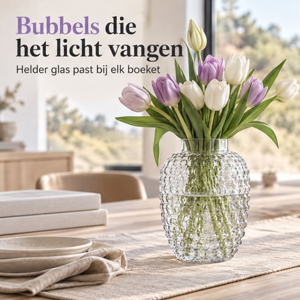 infographic opus55 infographic 1 - Cheqo® Glazen Vaas met Bubbels Transparant