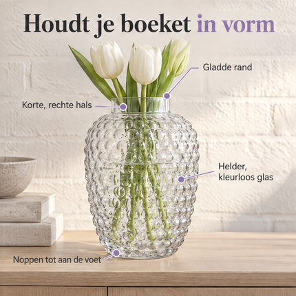 infographic opus55 infographic 5 - Cheqo® Glazen Vaas met Bubbels Transparant