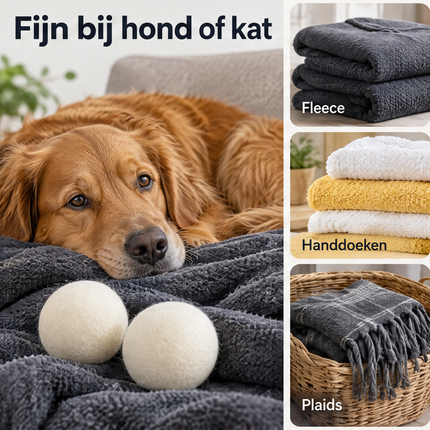 infographic opus55 infographic 3 - Cheqo® Wollen Drogerballen Set van 2