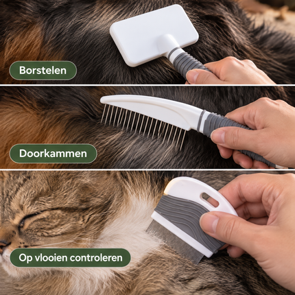 infographic opus55 infographic 5 - Cheqo® Hondenborstel Set 3-Delig