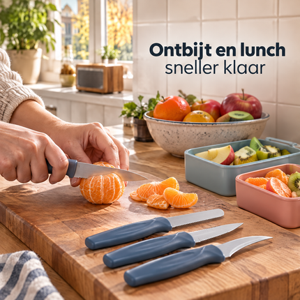 infographic opus55 infographic 2 - Cheqo® Schilmesjes Set van 4