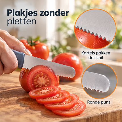 infographic opus55 infographic 3 - Cheqo® Schilmesjes Set van 4