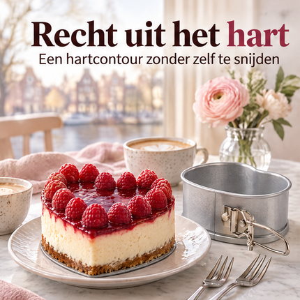 infographic opus55 infographic 1 - Cheqo® Springvorm Hartvorm 12 cm Zilver met Anti-aanbaklaag
