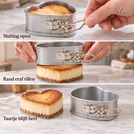 infographic opus55 infographic 2 - Cheqo® Springvorm Hartvorm 12 cm Zilver met Anti-aanbaklaag