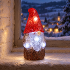 infographic opus55 hoofdafbeelding - Cheqo® LED Kabouter met Kerstlampjes en Timer