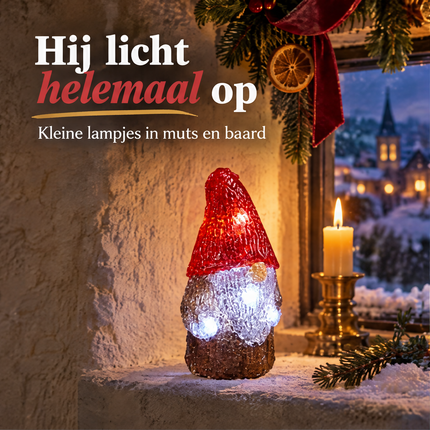 infographic opus55 infographic 1 - Cheqo® LED Kabouter met Kerstlampjes en Timer