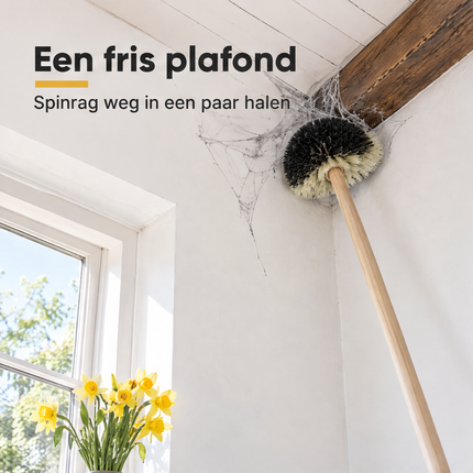 infographic opus55 infographic 1 - Cheqo® Houten Ragebol met Steelhouder