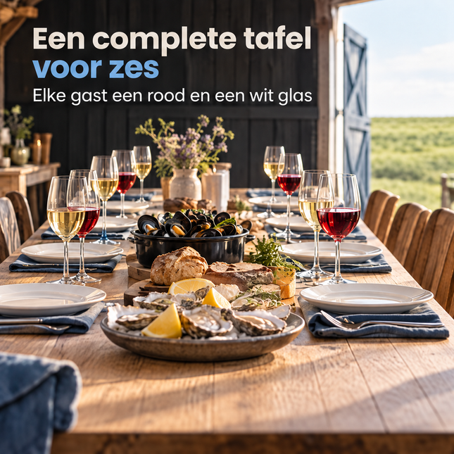 infographic opus55 AFGEKEURD (niet alle zes plekken hebben zichtbaar een rood en een wit glas (9 glazen in beeld), reparatielimiet bereikt) infographic 1 - Cheqo® Wijnglazen Set van 12