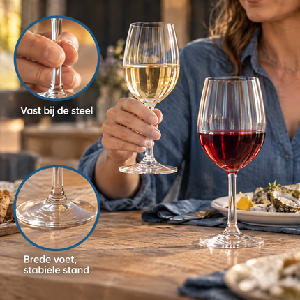 infographic opus55 infographic 4 - Cheqo® Wijnglazen Set van 12