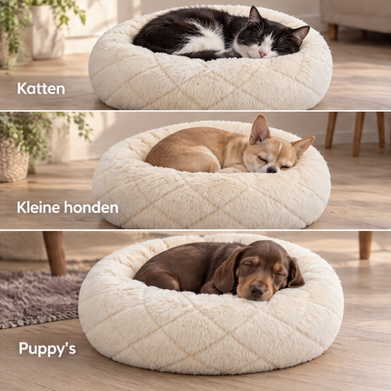 infographic opus55 infographic 4 - Cheqo® Donut Kattenmand