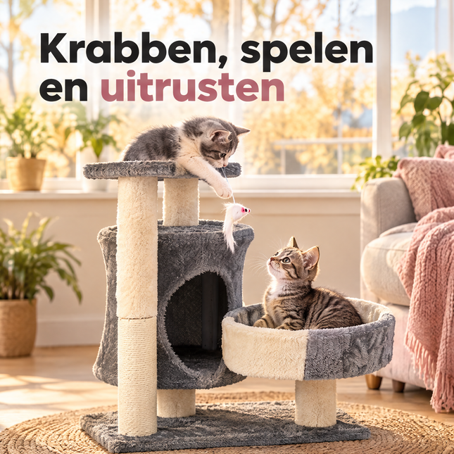 infographic opus55 infographic 1 - Cheqo® Kleine Krabpaal met Huisje en Kattenmand