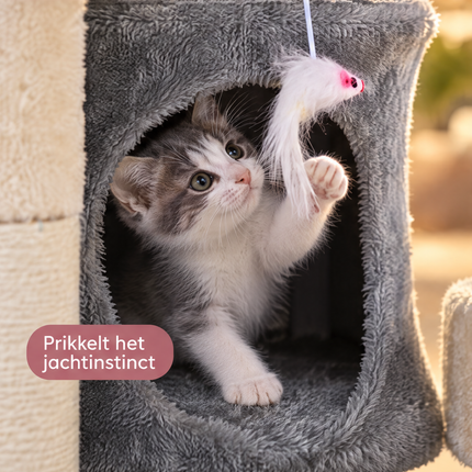 infographic opus55 infographic 4 - Cheqo® Kleine Krabpaal met Huisje en Kattenmand