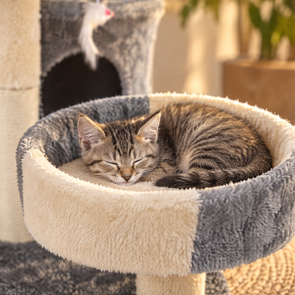 infographic opus55 infographic 5 - Cheqo® Kleine Krabpaal met Huisje en Kattenmand