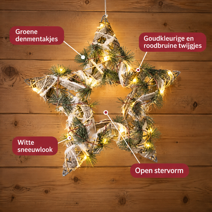 infographic opus55 niet geselecteerd (fout: Correct the spelling in the top-left label pill: it must read exactly "Groene dennentakjes" (the second word is dennentakjes: d-e-n-n-e-n-t-a-k-j-e-s, with a double n at the start and an n before the t). Only this word changes; all other labels, the callout lines and dots, the star and the plank wall stay exactly the same.) - Cheqo® Groene Kerstster met Verlichting