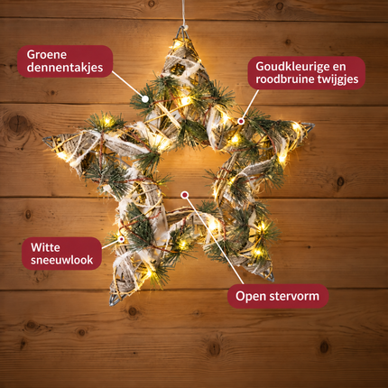 infographic opus55 infographic 2 - Cheqo® Groene Kerstster met Verlichting