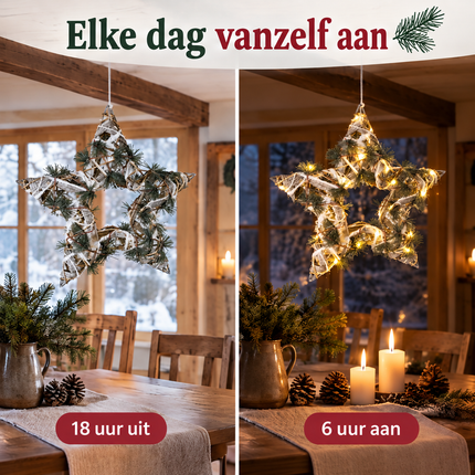 infographic opus55 infographic 3 - Cheqo® Groene Kerstster met Verlichting