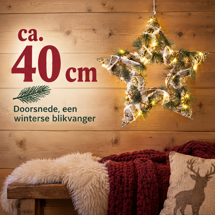 infographic opus55 infographic 4 - Cheqo® Groene Kerstster met Verlichting