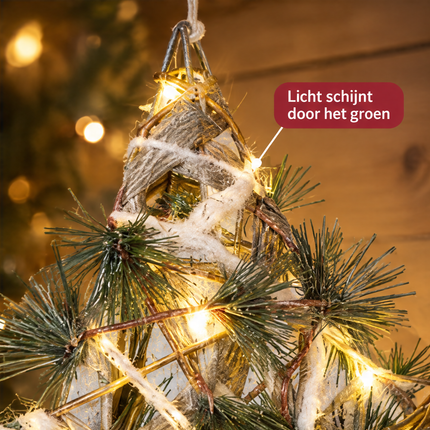 infographic opus55 infographic 6 - Cheqo® Groene Kerstster met Verlichting