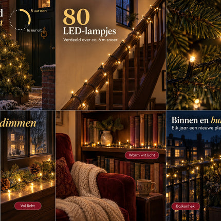 infographic opus55 rasteroverzicht grid_v1.png - Cheqo® Kerstverlichting 80 LED