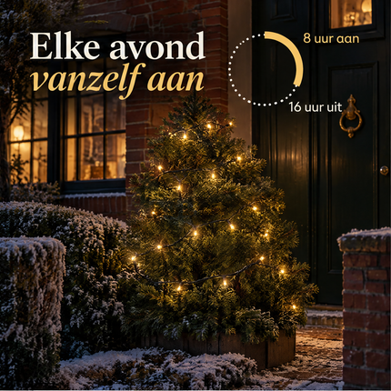 infographic opus55 niet geselecteerd (wit randje onder/rechts (1-2 px) lokaal weggeknipt, zelfde beeld, geen regeneratie) - Cheqo® Kerstverlichting 80 LED