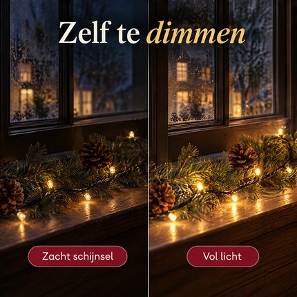 infographic opus55 infographic 4 - Cheqo® Kerstverlichting 80 LED