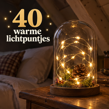 infographic opus55 infographic 2 - Cheqo® Kerstlampjes 40 LED Warm Wit