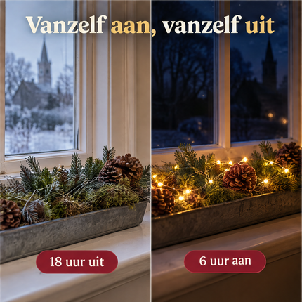 infographic opus55 infographic 5 - Cheqo® Kerstlampjes 40 LED Warm Wit