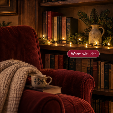 infographic opus55 infographic 5 - Cheqo® Kerstverlichting 40 LED