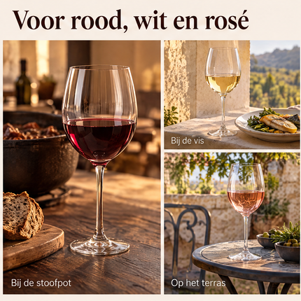 infographic opus55 infographic 4 - Cheqo® Wijnglazen Set van 4