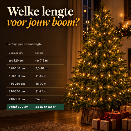 infographic opus55 infographic 3 - Cheqo® Kerstverlichting 720 LED