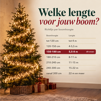 infographic opus55 infographic 3 - Cheqo® Super Cluster Kerstverlichting 2400 LED