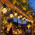 infographic opus55 hoofdafbeelding - Cheqo® Feestverlichting Warm Wit