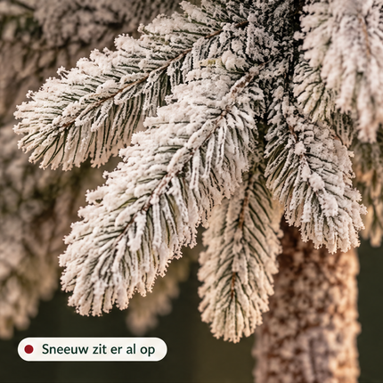 infographic opus55 infographic 2 - Cheqo® Kunstkerstboom 120 cm met Sneeuw zonder Verlichting