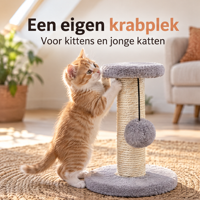 infographic opus55 infographic 1 - Cheqo® Kleine Krabpaal voor Katten en Kittens