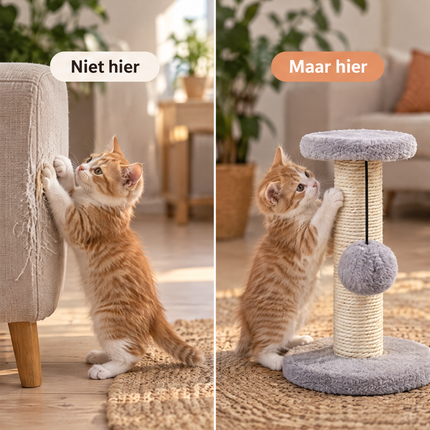 infographic opus55 infographic 2 - Cheqo® Kleine Krabpaal voor Katten en Kittens